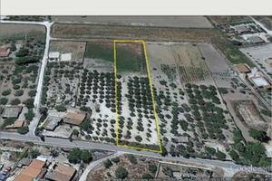 Terreno agricolo