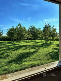 Terreno con rustico da ristrutturare