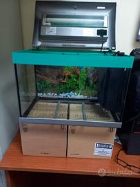 acquario