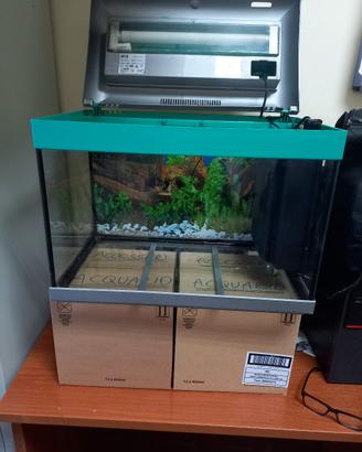 acquario