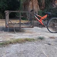 bici trike