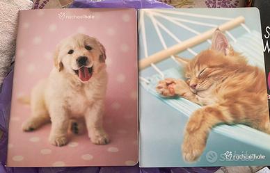 2 quaderni uno a rughe e uno a quadretti