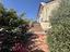 Immagine 21