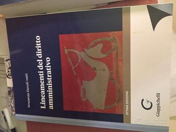 lineamenti del diritto amministrativo