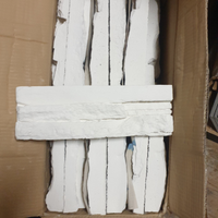 Rivestimento a Roccia da parete