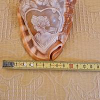 cammeo su conchiglia sardonica firmata