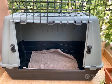 TRASPORTINO RIGIDO ANIMALI