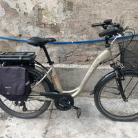 Bici elettrica