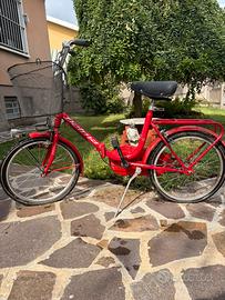 Bicicletta da donna/city bike delma liberty