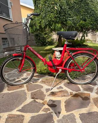 Bicicletta da donna/city bike delma liberty