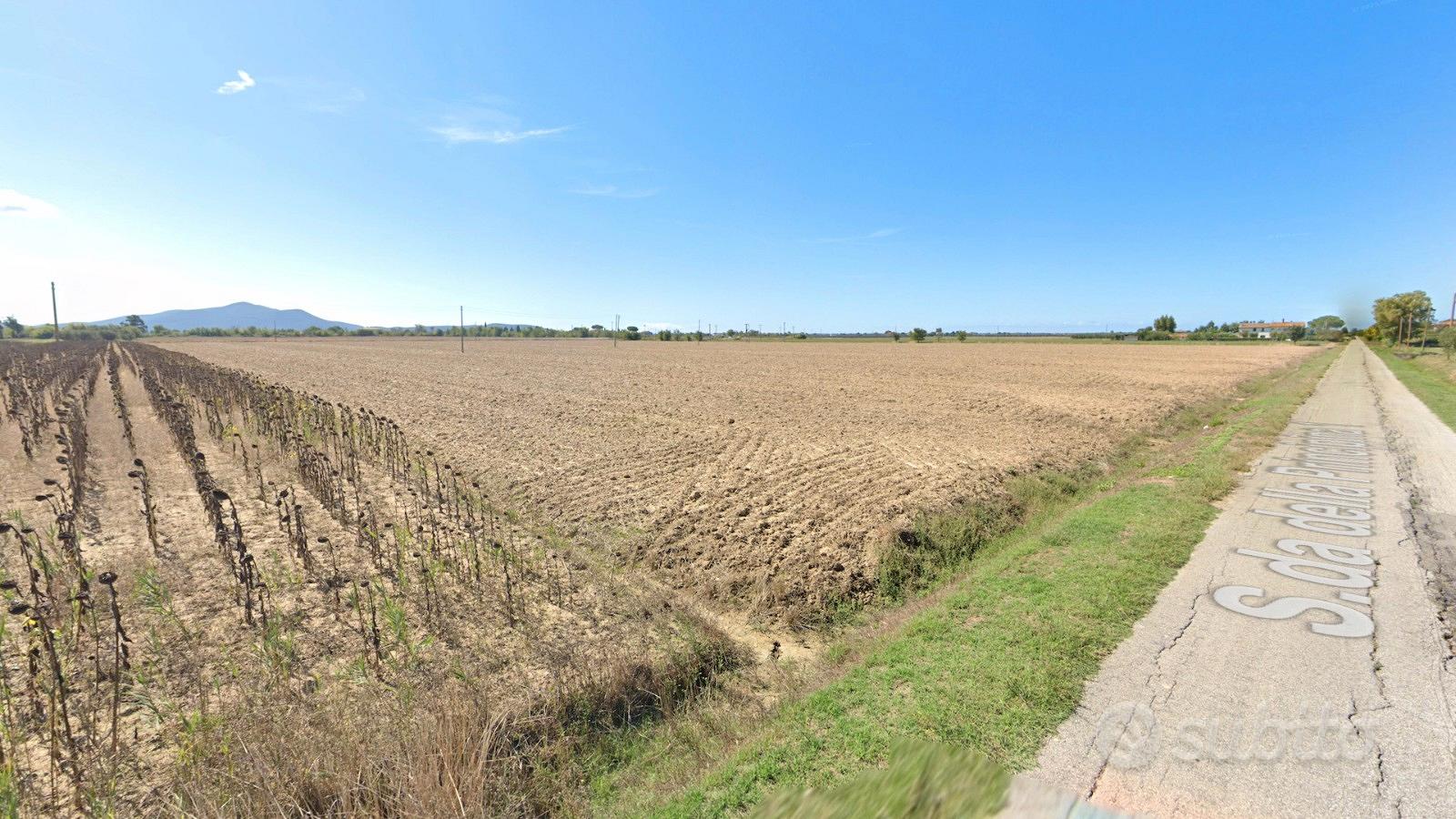 Terreno agricolo 5 ettari fronte strada - Altro