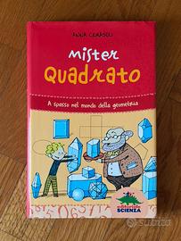 Libro Mister Quadrato - Anna Cerasoli