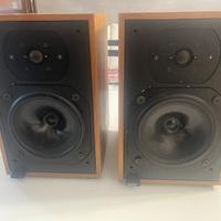 Bowers & Wilkins DM-12