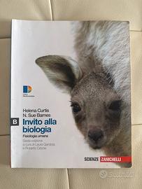 Libro scuola superiore