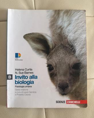 Libro scuola superiore