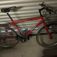 bici da ragazzo