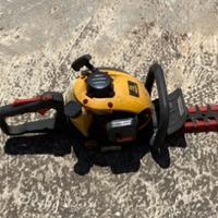 Taglia siepi a Scoppio