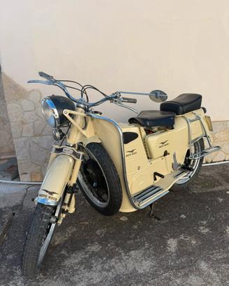 Moto guzzi galletto 175 1953
