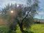 Immagine 17