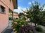 Immagine 29