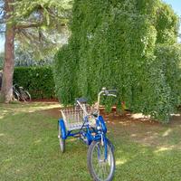 bici a tre ruote Palmirani 