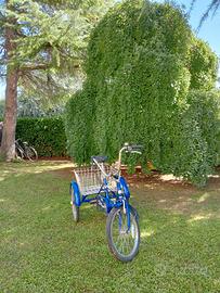 bici a tre ruote Palmirani 
