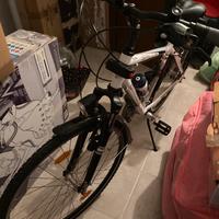 Bicicletta da uomo