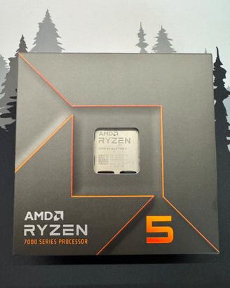 AMD Ryzer 5 7600x - AM5 - 6 core / 12 Thread