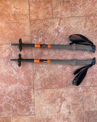 Bastoncini da trekking