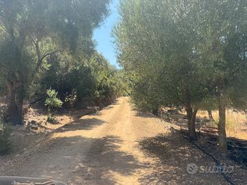 Terreno di circa 3 ettari