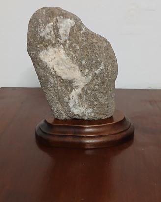 suiseki 