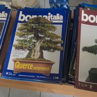 riviste bonsai 