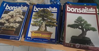 riviste bonsai 