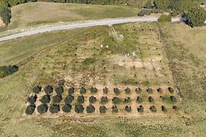 Terreno edificabile localita' piano monello