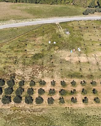Terreno edificabile localita' piano monello