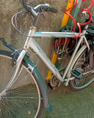 bicicletta da uomo