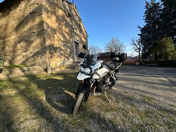 Tiger 1200