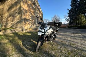 Tiger 1200