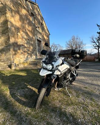 Tiger 1200