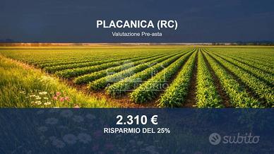 Immobile in asta di 8500 m² a Placanica