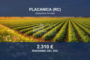 Immobile in asta di 8500 m² a Placanica