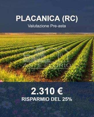 Immobile in asta di 8500 m² a Placanica