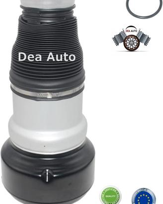 Soffione soffietto molla mercedes s w221 anteriore