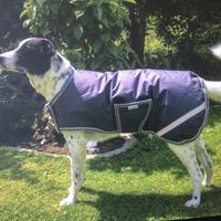 Cappottino invernale impermeabile per cane piccolo