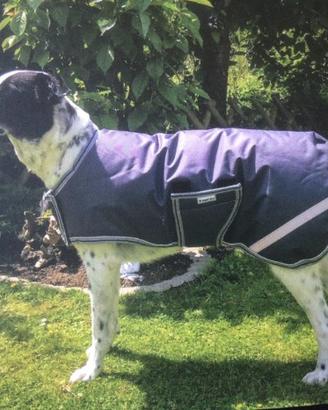 Cappottino invernale impermeabile per cane piccolo