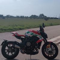 MV Agusta Brutale 800 Dragster - 2023