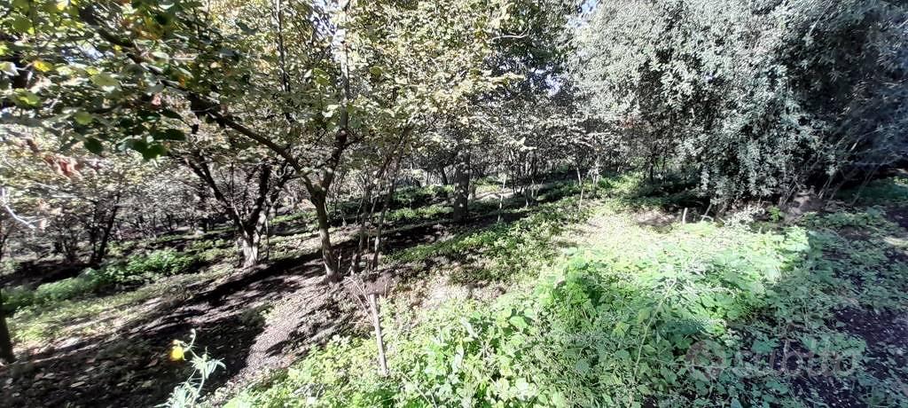Terreno di 12634 m² a Palma Campania - Altro