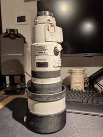 Canon EF 200-400 f/4L IS 1.4x