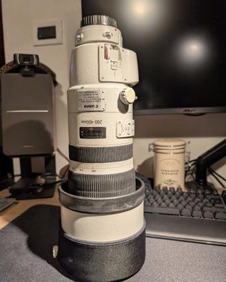 Canon EF 200-400 f/4L IS 1.4x