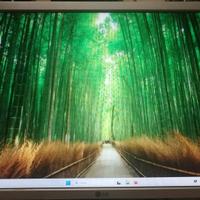 HP Pro 6300 Slim Windows 11